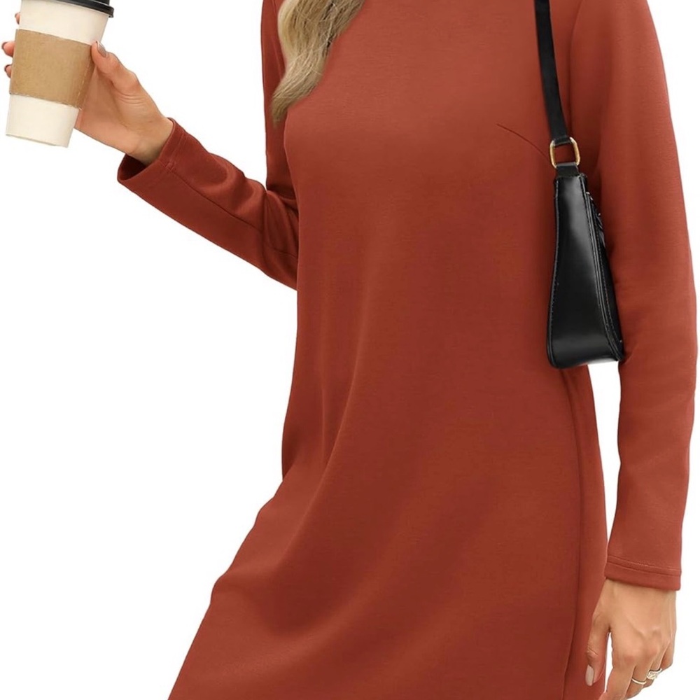 Chic Long Sleeve Rust Dress